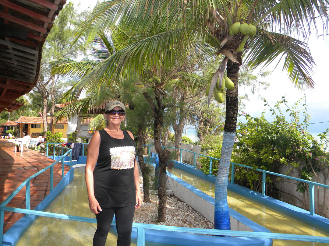 SPA Termas Center主图