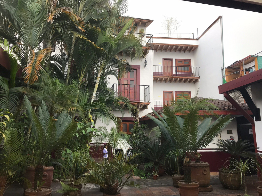 Hotel Casa Real Del Café主图