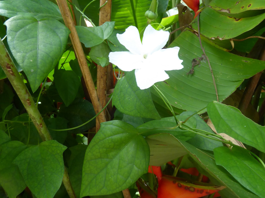 Peperpot Nature Park-Meerzorg必去景点