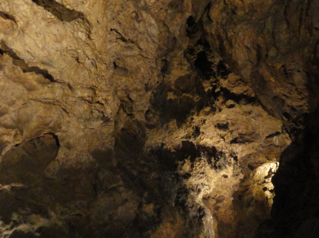 Grotte de Dinant-迪南必去景点