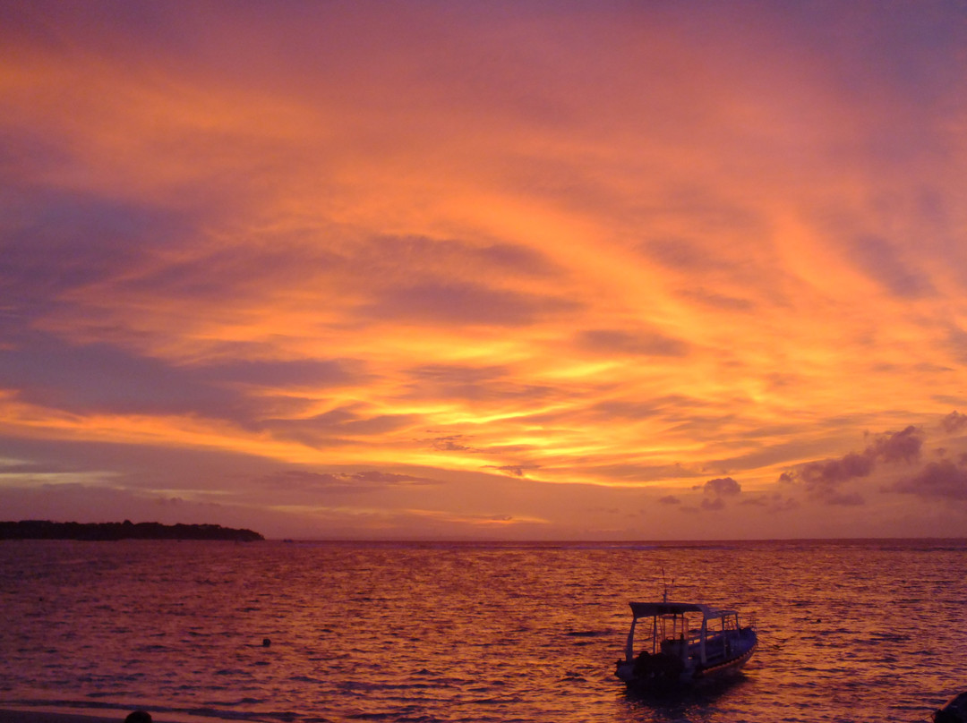 塔尔奇平房主图