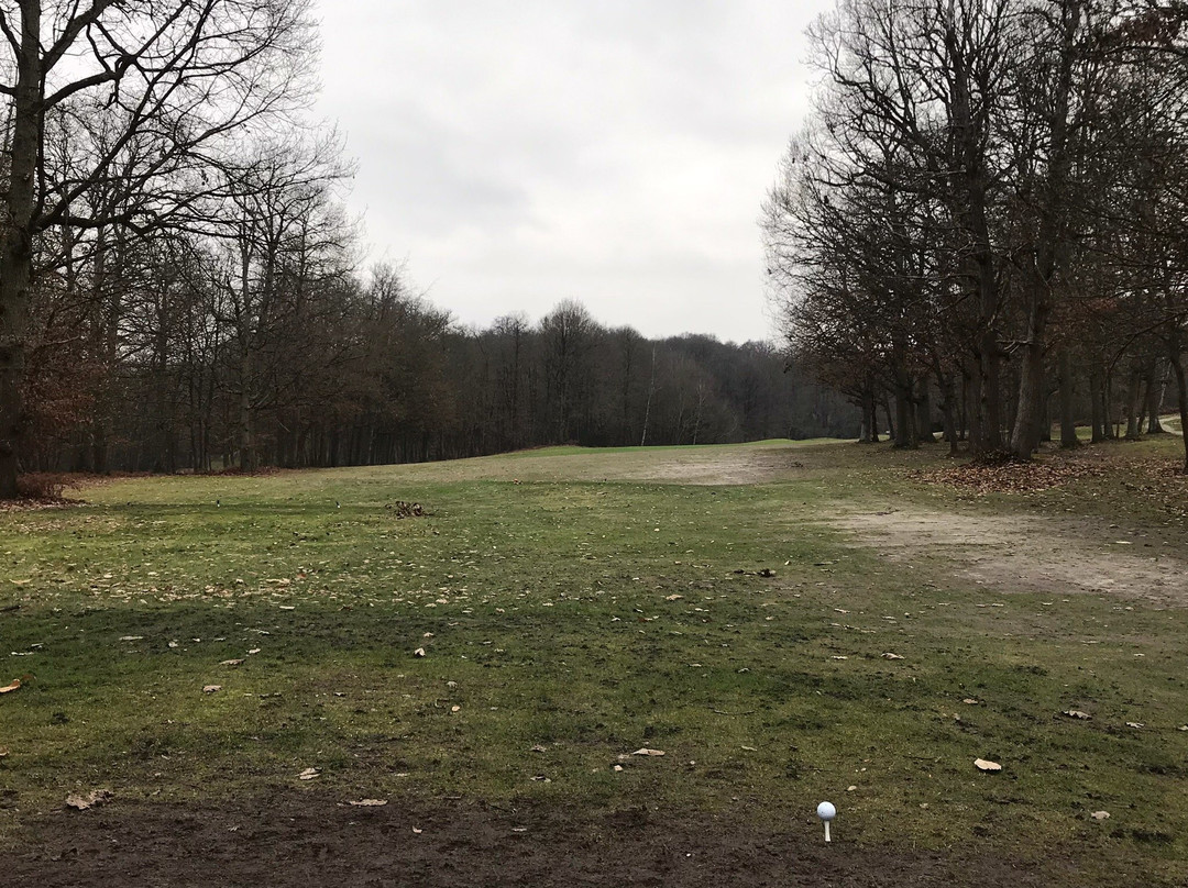 Golf du Tremblay sur Mauldre景点图片