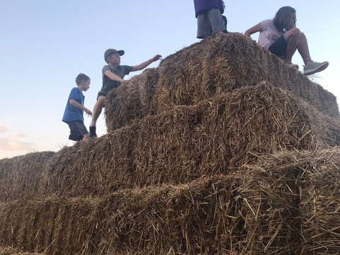 Pumpkin Creek Farms-Sherman必去景点