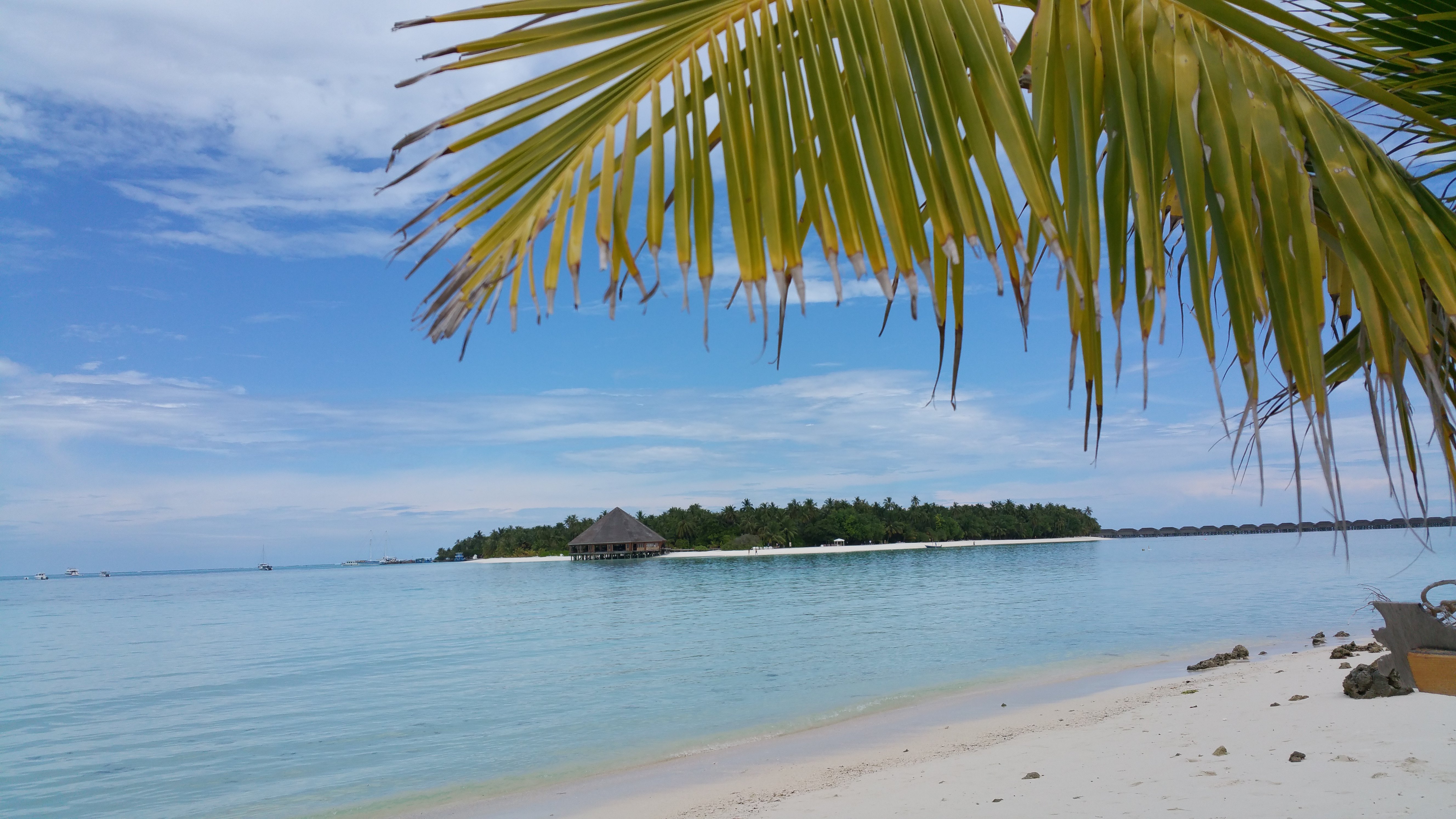 Crystal Dhiffushi-泳池