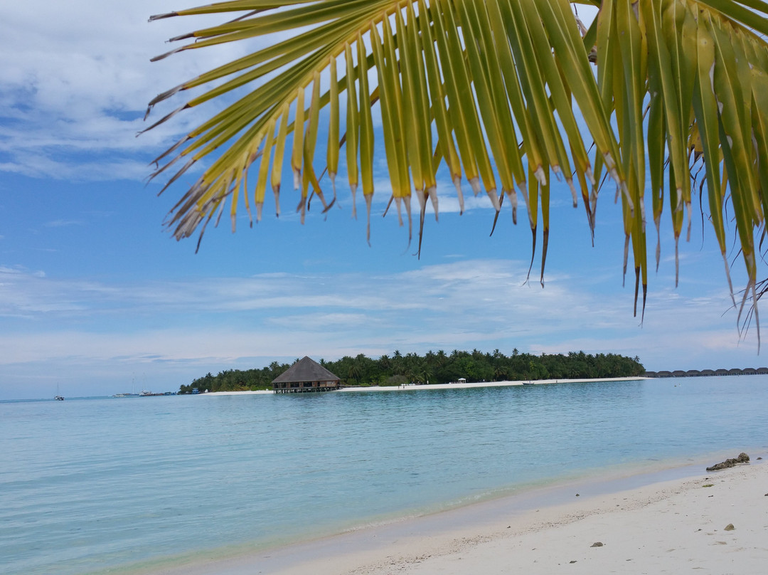 Crystal Dhiffushi主图