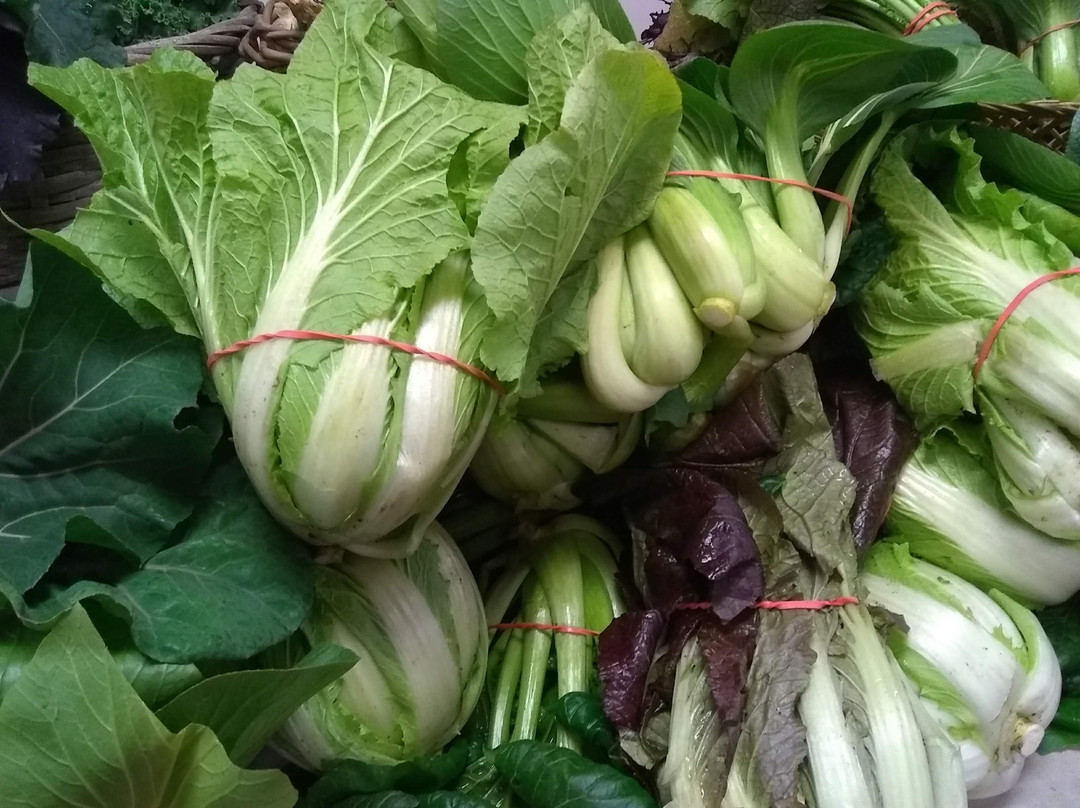 Brattleboro Winter Farmers' Market-布拉特尔伯勒必去景点