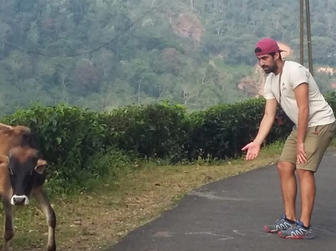 Cassells Resorts主图