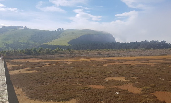 Aramoana Domain-但尼丁必去景点