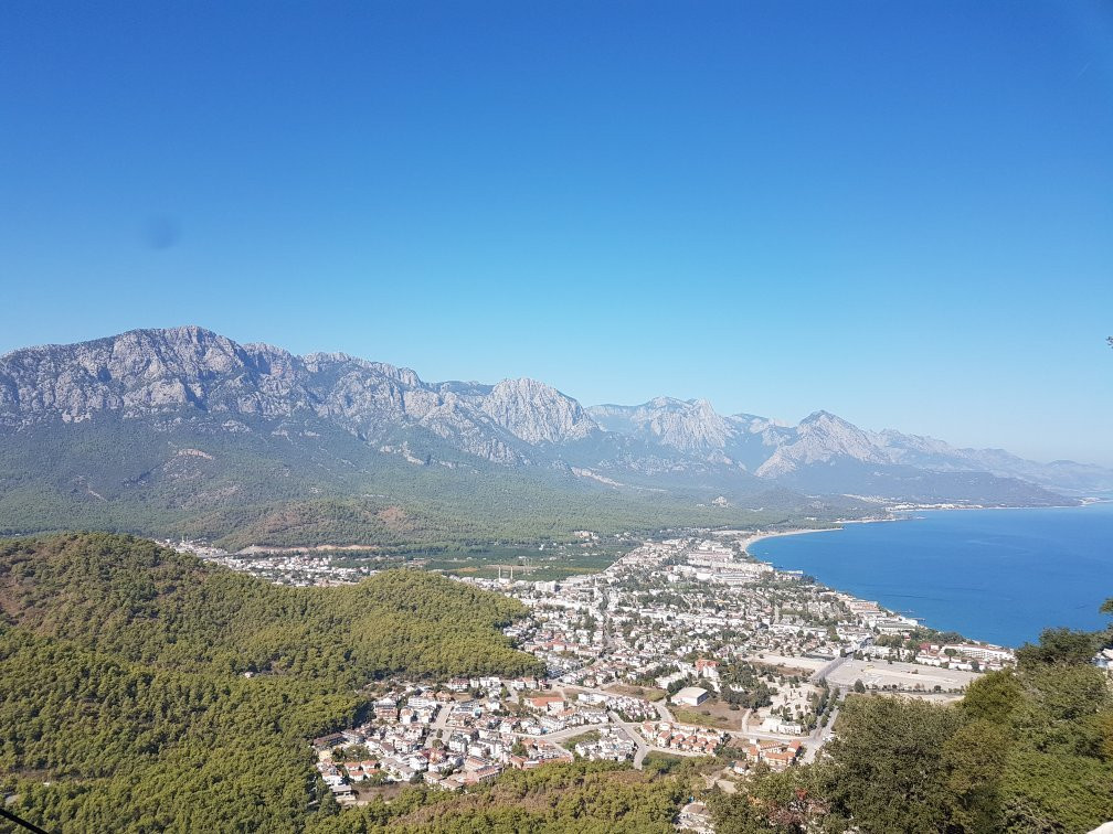 松树园旅游攻略图片