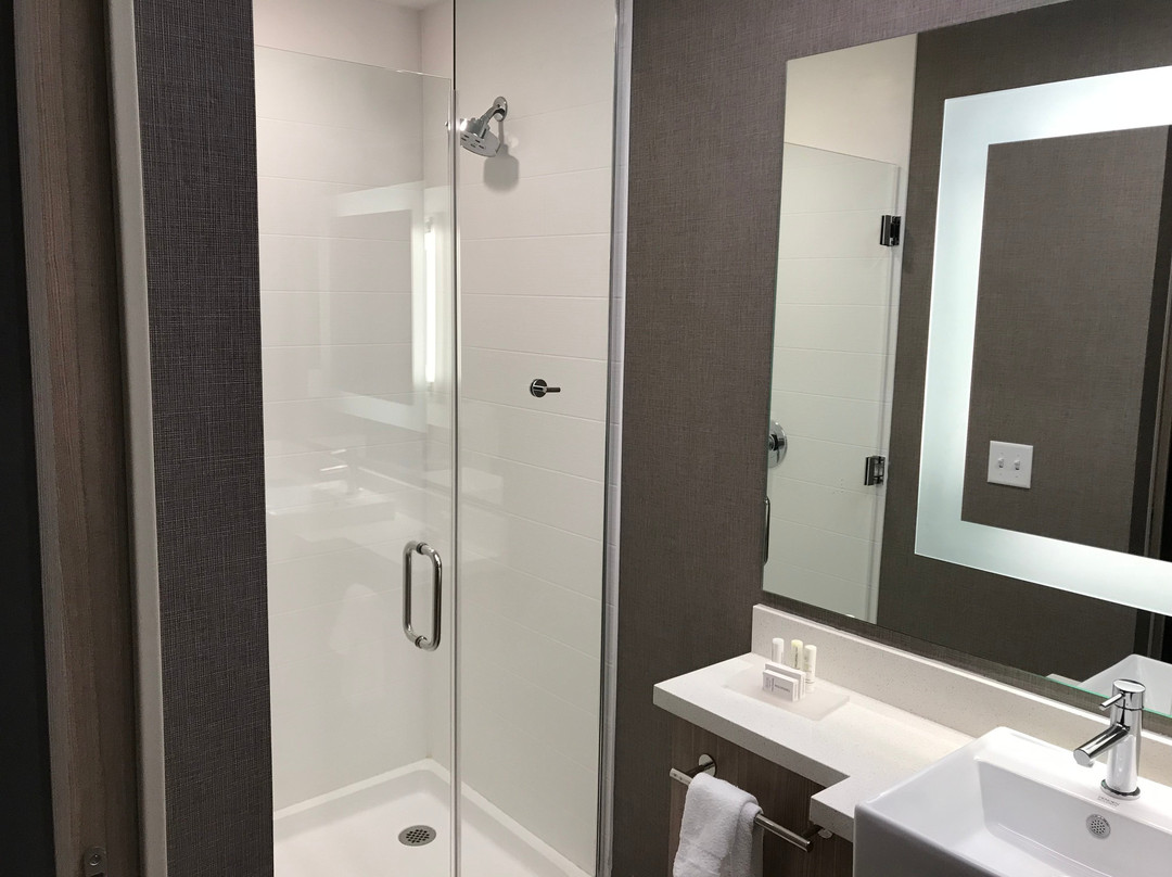 SpringHill Suites Idaho Falls主图