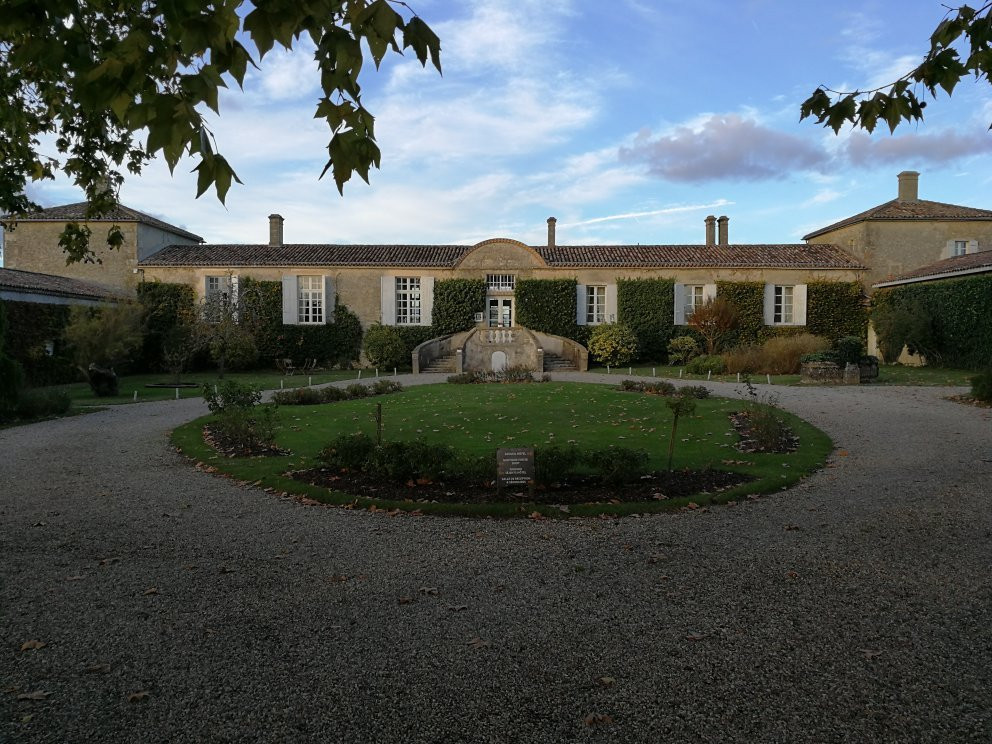 Château D’arche景点图片