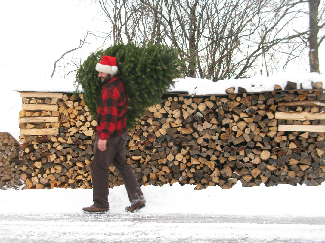 Werner Tree Farm-Middlebury必去景点