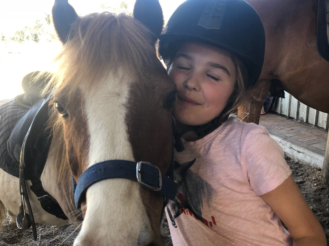 Mirravale Riding School-雅林角必去景点