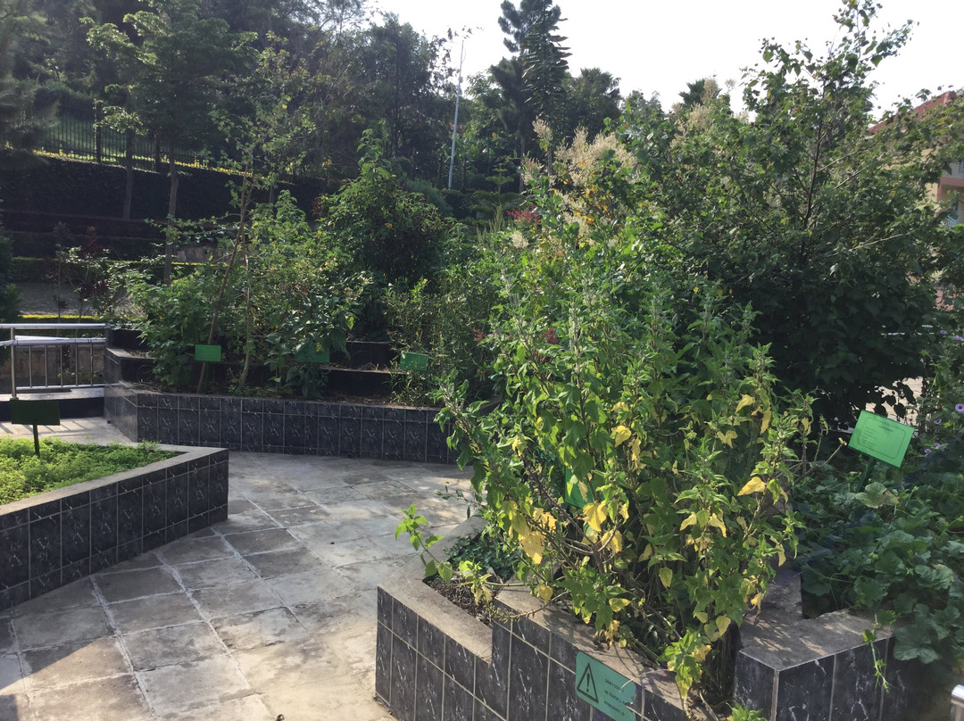 Kivu Explorer-Kibuye必去景点