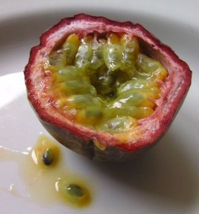 Hindberry Fruchtwein-Himberg必去景点