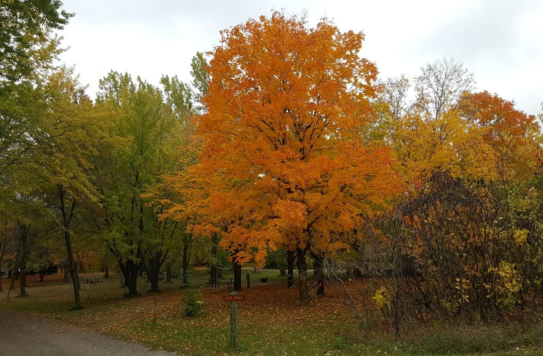 Maplewood State Park-Pelican Rapids必去景点