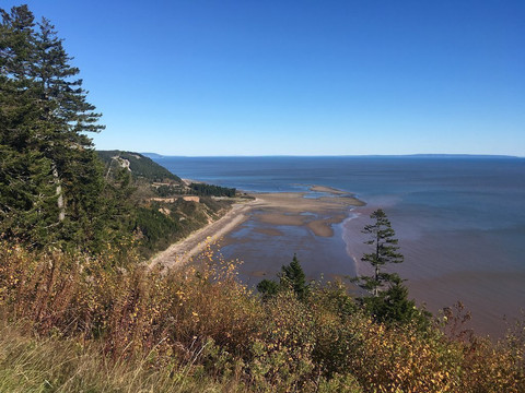 Go Fundy Tours-圣约翰必去景点