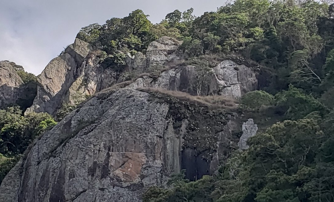 Conexão Gonçalves-Goncalves必去景点