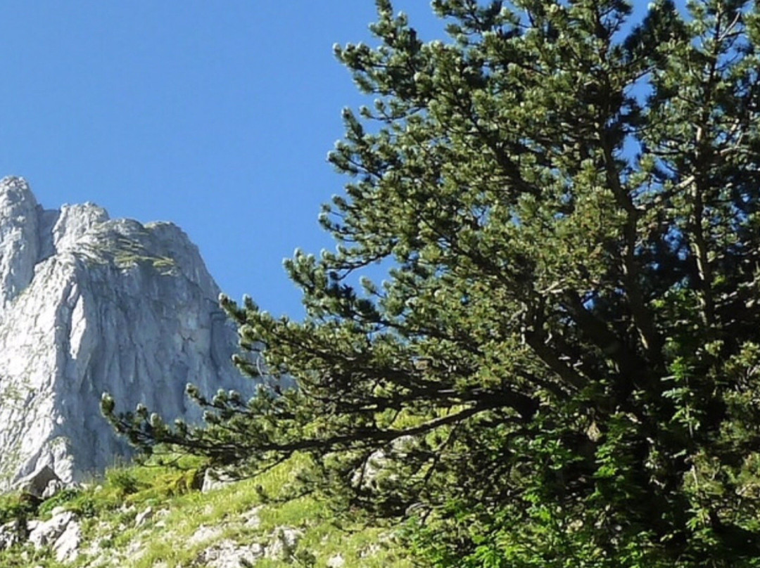 Zla Kolata Mountain景点图片