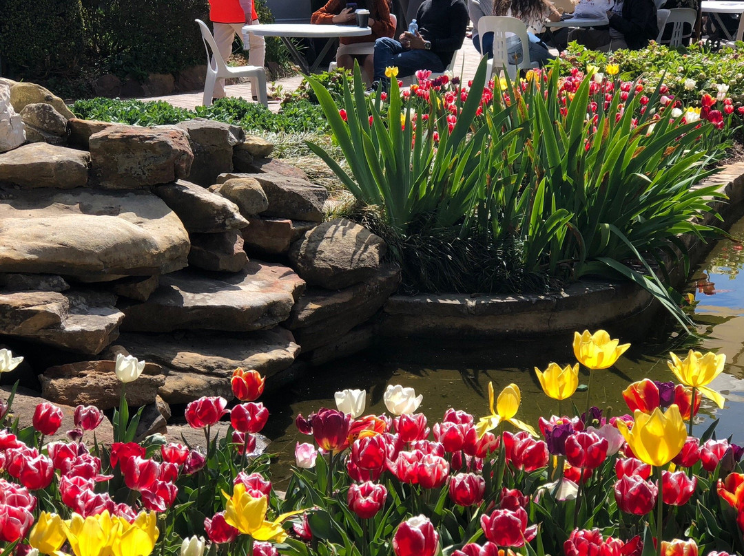 The Imperial Motel主图