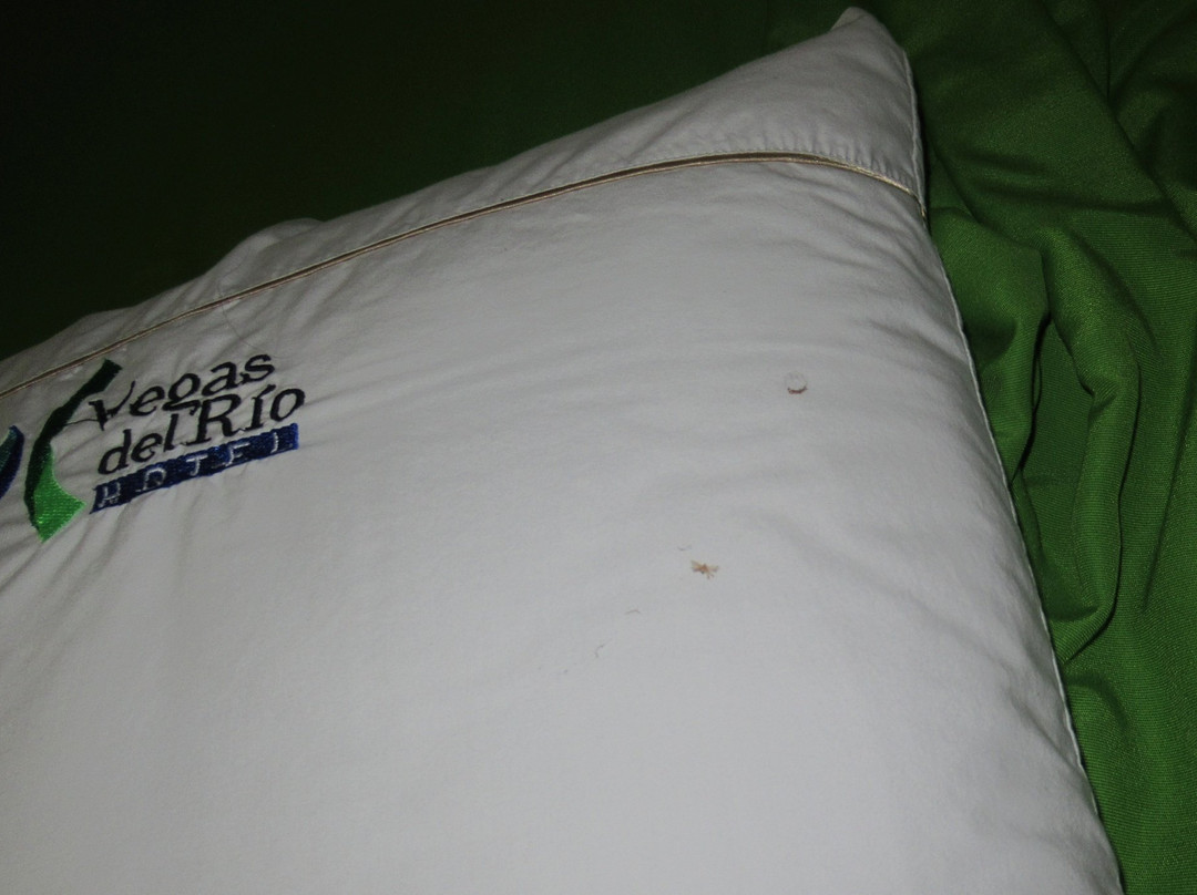 Hotel Vegas del Rio主图