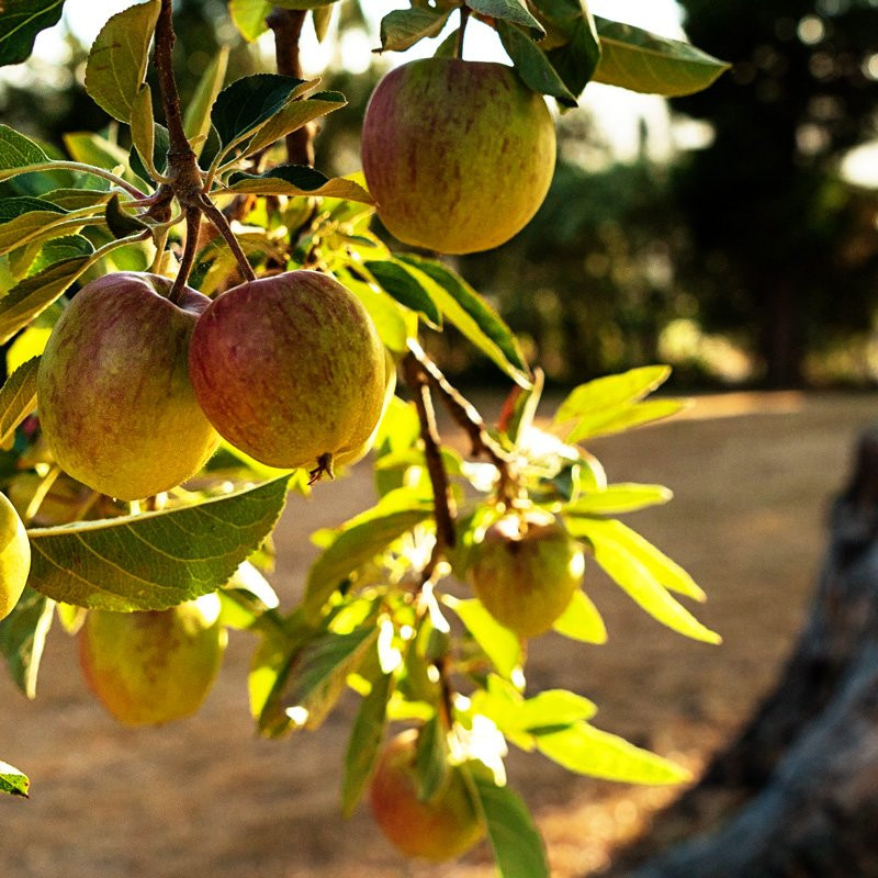 河畔之家酒店主图