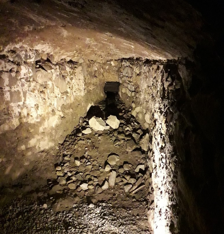 Musee de la Tour Prisonniere景点图片