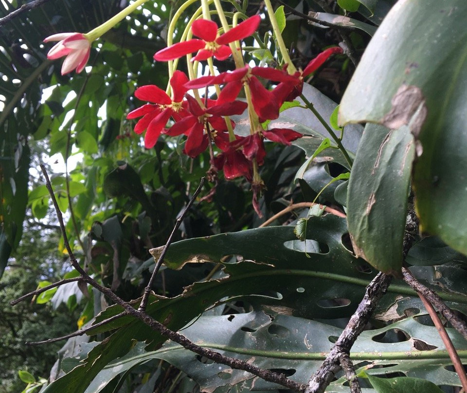 Rondo Retreat Centre主图