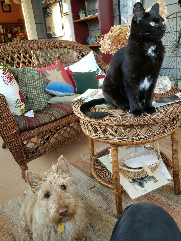 Sugar Maple Trailside Inn主图