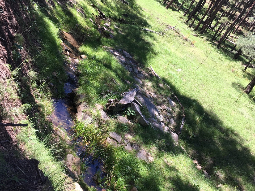 Railroad Tunnel Trail-Payson必去景点