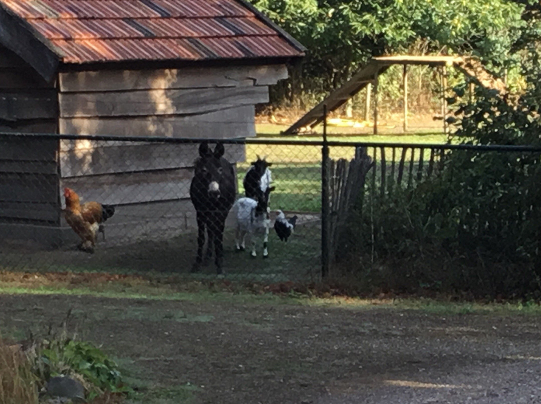 Camping Heiderust
