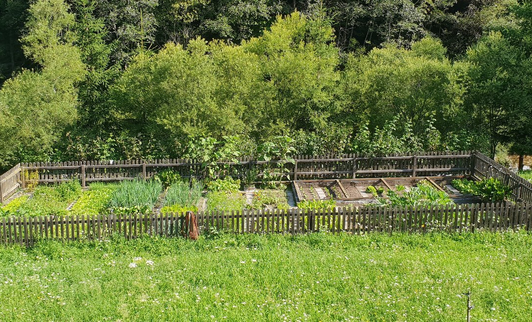 Gasthof Löwen主图