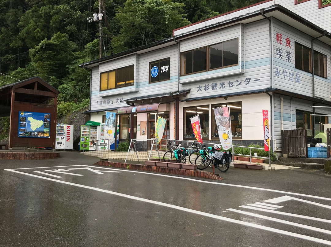 Osugi Michi-no-Eki-大豊町必去景点