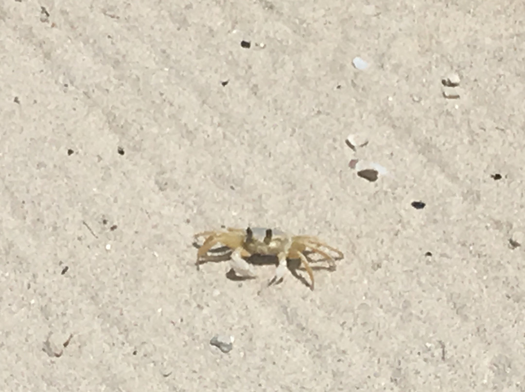 Hotel On The Cay主图