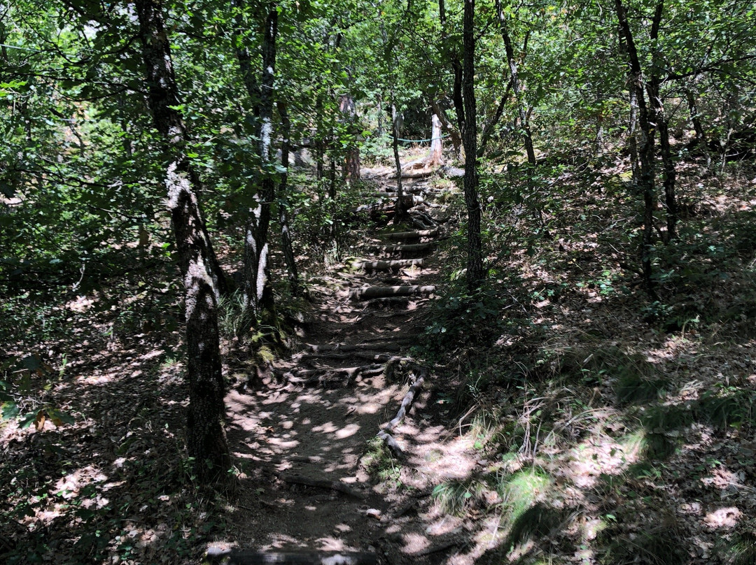 Saint Nectaire Aventures-Saint-Nectaire必去景点