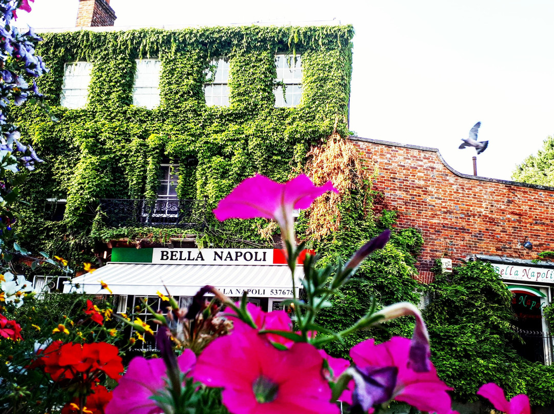 罗契斯特餐馆和美食-Bella Napoli Italian Restaurant & Pizzeria
