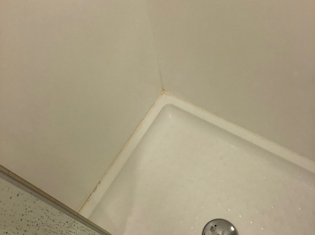 陶波湖畔小屋主图