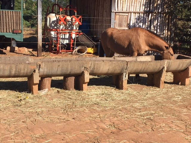 Pousada Santa Branca主图