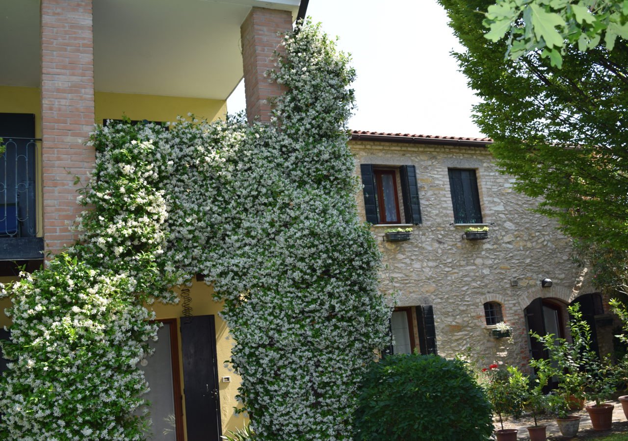 B&B Chez Vivi'-官方