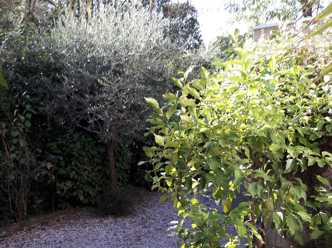 Hotel les Troenes主图