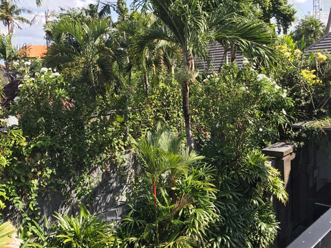 萨玛亚塞米亚克别墅主图