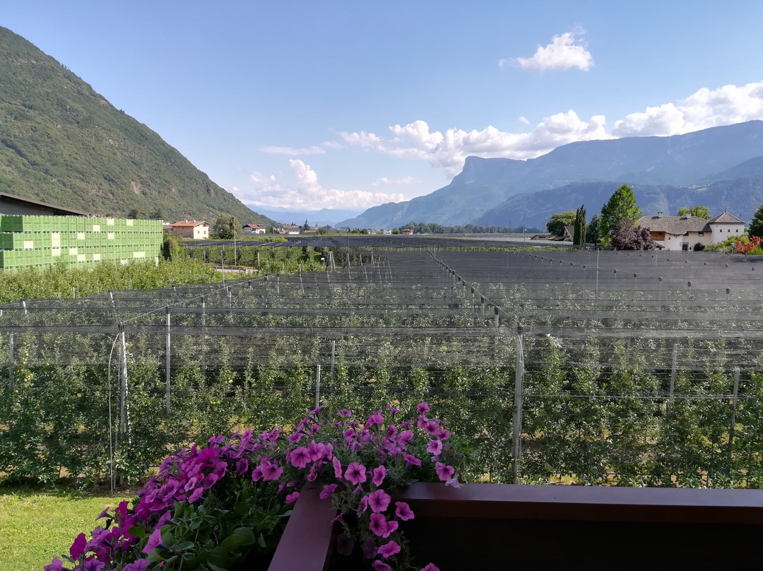 Postal酒店住宿-Gruberhof