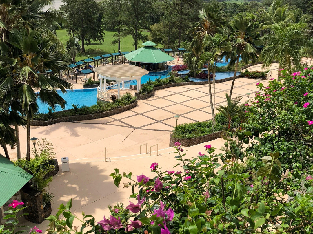 Gamboa Rainforest Reserve主图