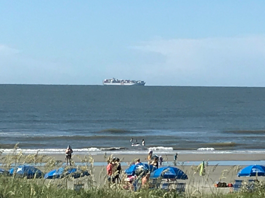 Isle of Palms Beach Chair Company-棕榈岛必去景点