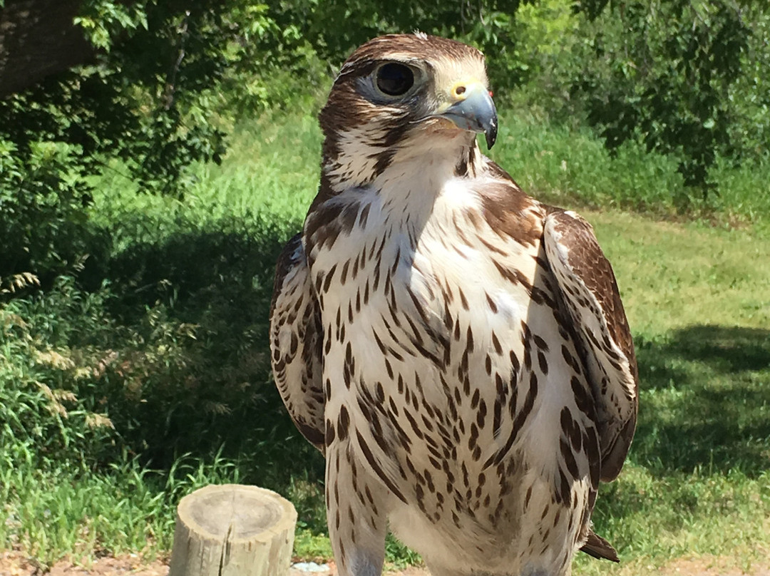 Wakamow Valley-穆斯乔必去景点