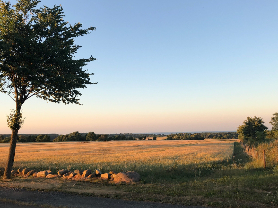 幸福奶奶的住宿加早餐旅馆主图