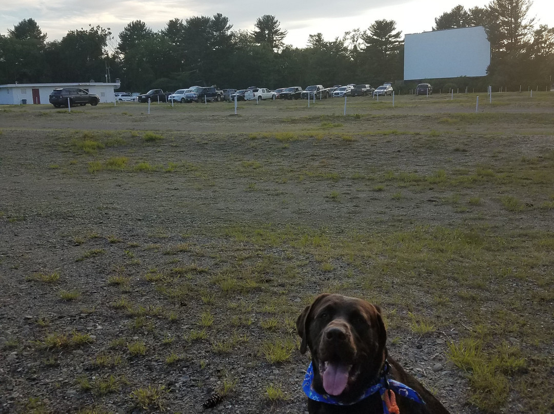 Saco Drive-In Theater景点图片
