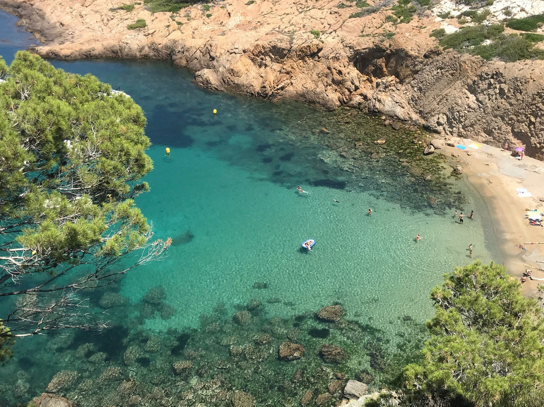 Cala de S'eixugador-贝格必去景点