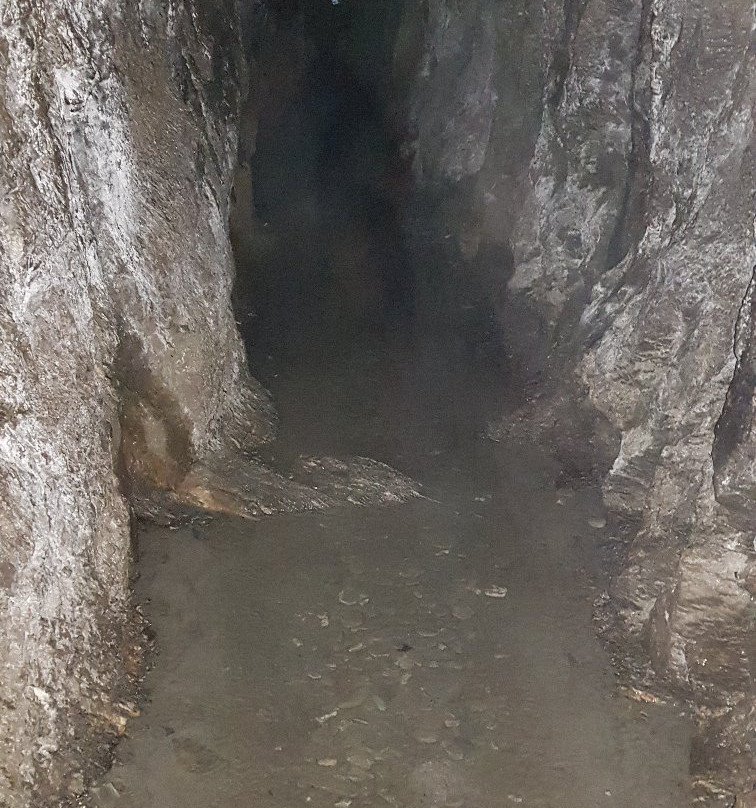 塔塔雷隧道探险景点图片