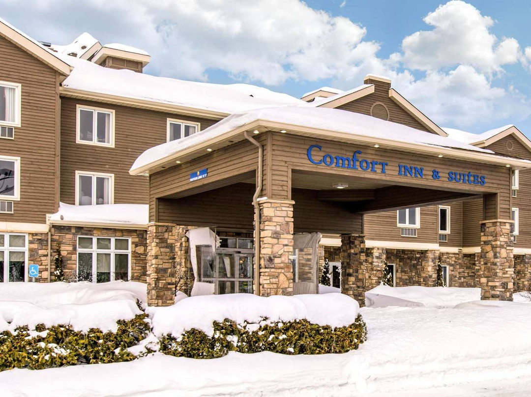 Comfort Inn & Suites主图